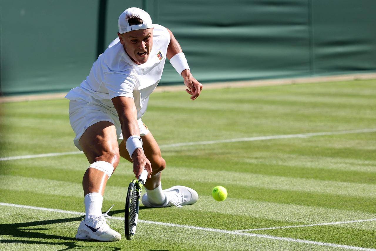 温网取消俄白球员禁令，赛事回归正常的简单介绍